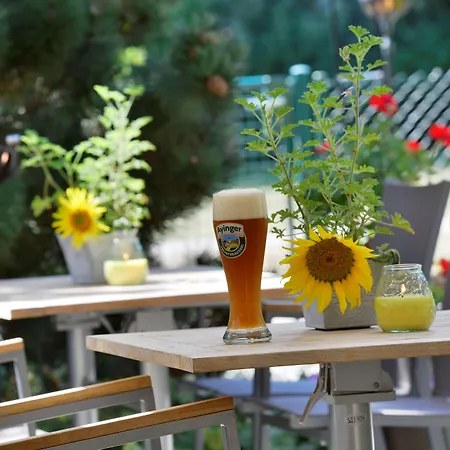 بست وسترن بلاس إرب 4* فاترشتيتن